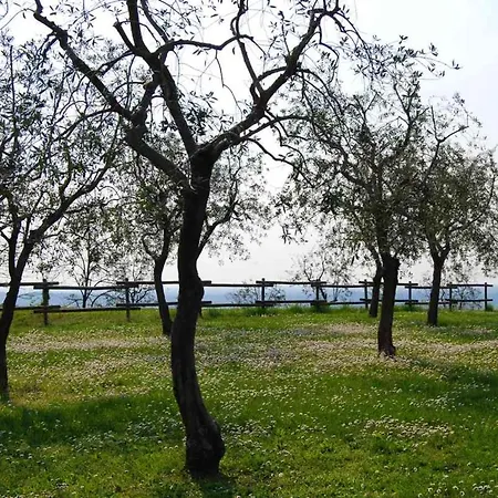 Bagnole - 2 Barcuzzi